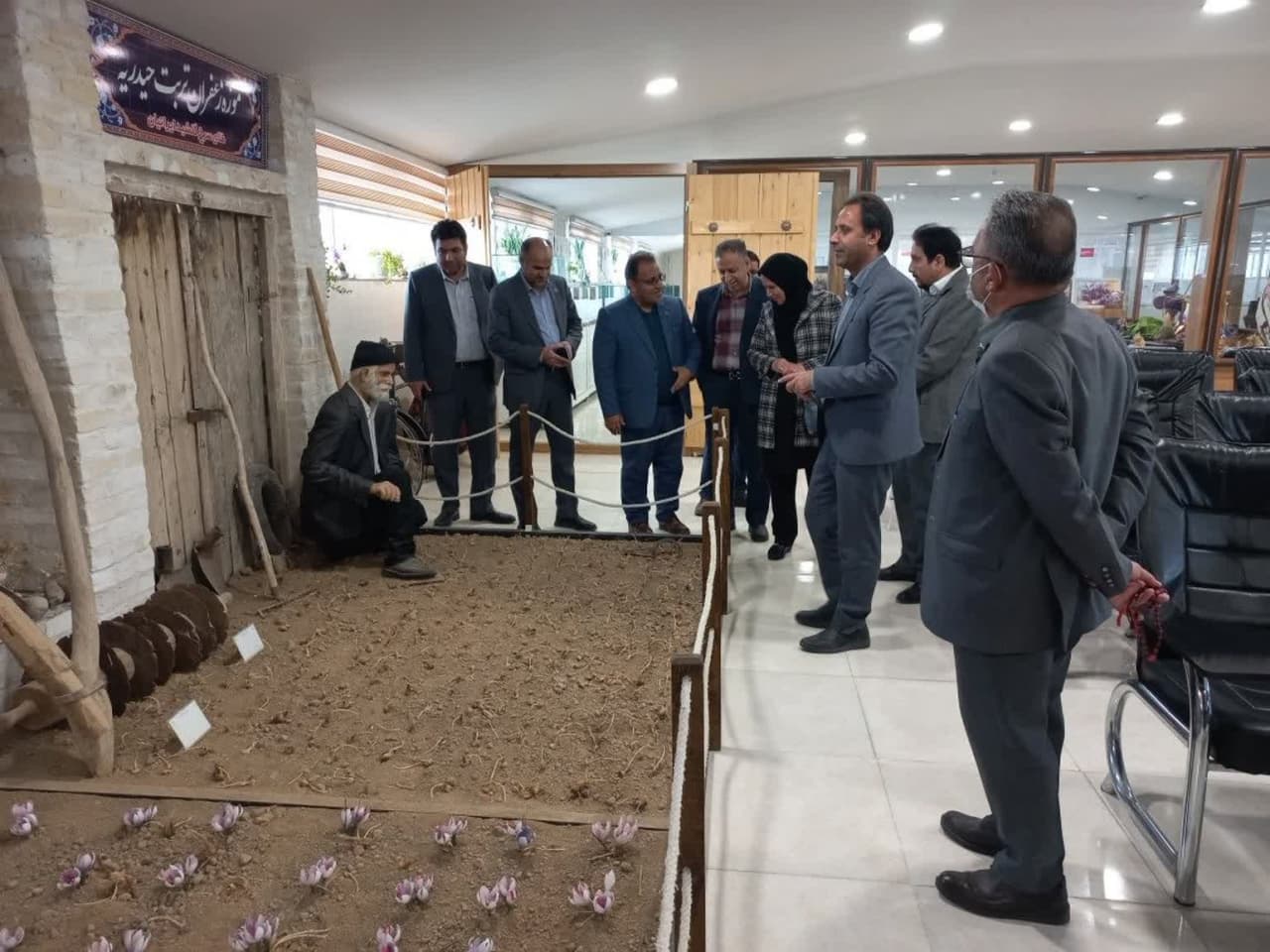 شسی_2